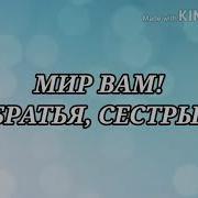 Мир Вам Братья Сестры Минус