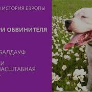 Уве Топпер Выдуманная История Европы