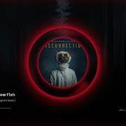 Disconnection Original Mix Max Freegrant Slow Fish