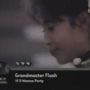 Grandmaster Flash If U Wanna Party