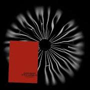 Steve Angello Hooligans