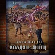 Колдун Книга4 Жнец