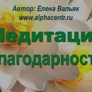 Вальяк Медитация Благодарности