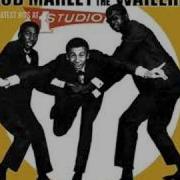 The Wailers I M Gonna Put It On