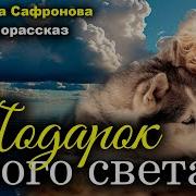 Снежана Сафронова Рассказы