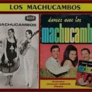 Los Machucambos Professor Bach