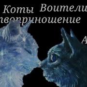 Коты Воители Песня Жертвоприношение Алисы