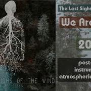 The Last Sighs Of The Wind We Are Trees