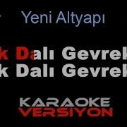 Erik Dalı Karaoke