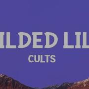 Gilded Lily Cults