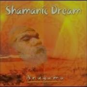 Shamanic Journey Albums