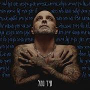 עיר נמל