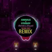 Animals Maroon 5 Remix Tik Tok