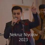 Некруз Ниёзов 2023