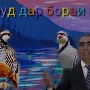 Амридин Кабири