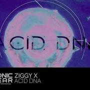 Ziggy X Acid Dna