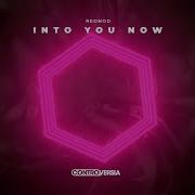 Rednod Into You Now Extended Mix