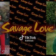 Savage Love Tiktok