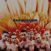 Rammstein Wahrheit