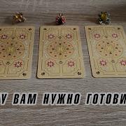 К Чему Вам Нужно Готовиться Гадание На Таро Мопсов Карина