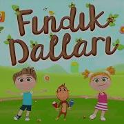 Fıdık Dalları