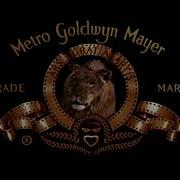 Metro Goldwyn Mayer 1995