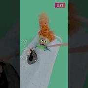 Ё Ё Ё Привет Народ Это Кто Это Идёт
