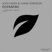 Soulfinder Shane Robinson Dopamine Forerunners Remix