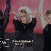 Bananarama Venus