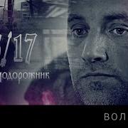 25 17 Волченок Ремикс