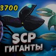 Рома Субботин Реакция На Scp