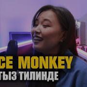 Aziza Boronbaeva Dance Monkey