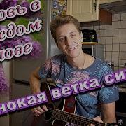 Ветка Семени Поёт Мордвин