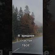 Я Вредное Счастье Твоё