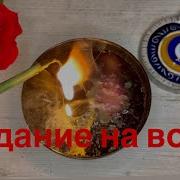 Гадание На Воске Margo Pro Magic