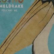 The Fly Cosmo Sheldrake