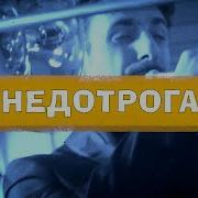Группа Птица Недотрога