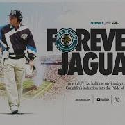 Jaguars P Tits Oiseaux