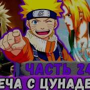 Шнапстер Глобальная Мисия 24