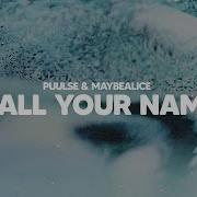 Puulse Call Your Name