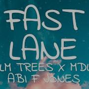 Palm Trees X Mdl X Abi F Jones Fast Lane Lyrics