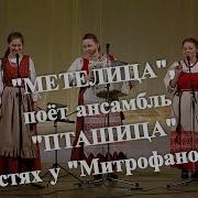 Пташица Метелица