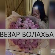 Везар Волахьа