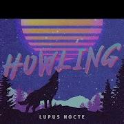 Lupus Nocte