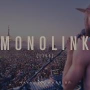 Monolink 2022