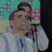 Nicolae Gribincea Plăieșii La O Nuntă La Sălcuța