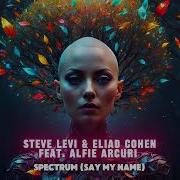 Steve Levi Eliad Cohen Feat Alfie Arcuri Spectrum Say My Name