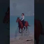 ჭრელ თვალებს ვადარებ