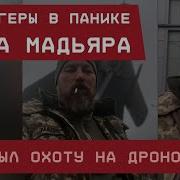 Z Блоггеры В Панике