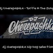 Dj Cherepashka Mixtape Turtle In The Jungle